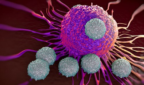 Der Chemotherapie die Nebenwirkungen nehmen